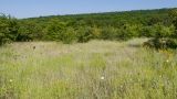 Темрючки, image of landscape/habitat.