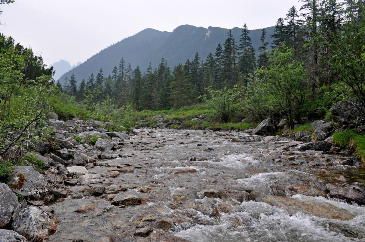 Долина реки Гремячий Лог, image of landscape/habitat.