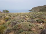 Image of landscape