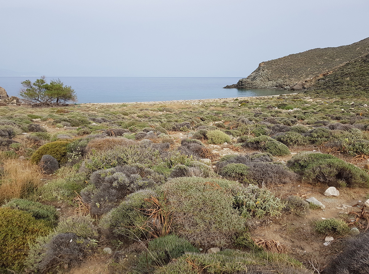 Остров Сирос, image of landscape/habitat.