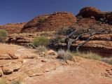 Kings Canyon, image of landscape/habitat.