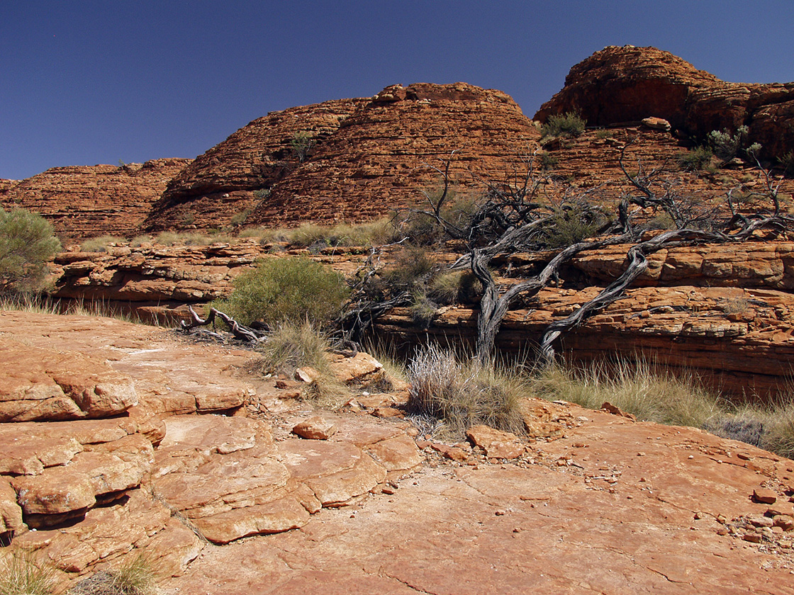 Kings Canyon, image of landscape/habitat.