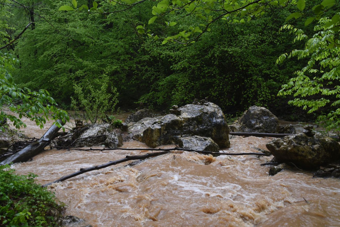 Водопад Шум, image of landscape/habitat.
