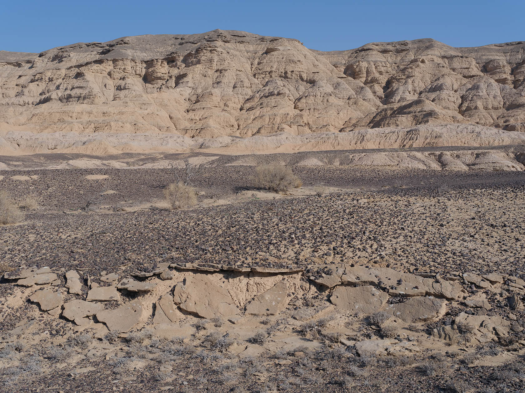 Сарымсакты, image of landscape/habitat.