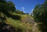 Image of landscape