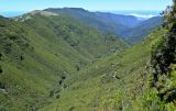 Image of landscape