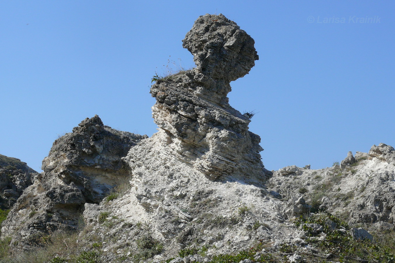 Джангуль, image of landscape/habitat.