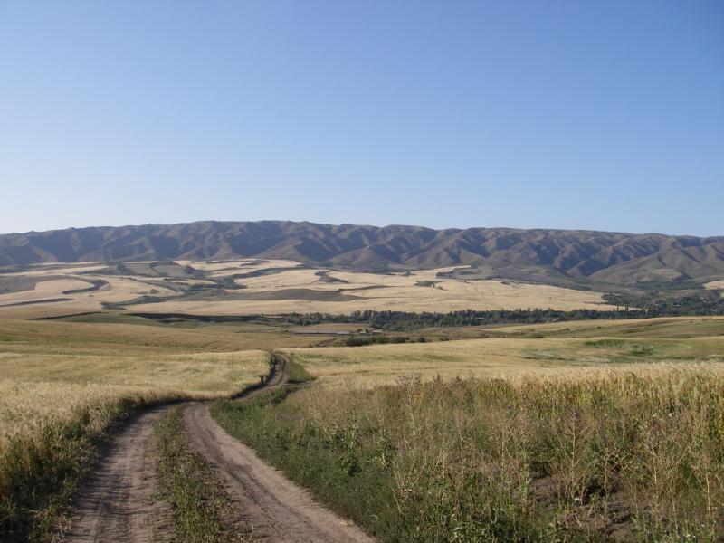 Посёлок Дзержинское, изображение ландшафта.