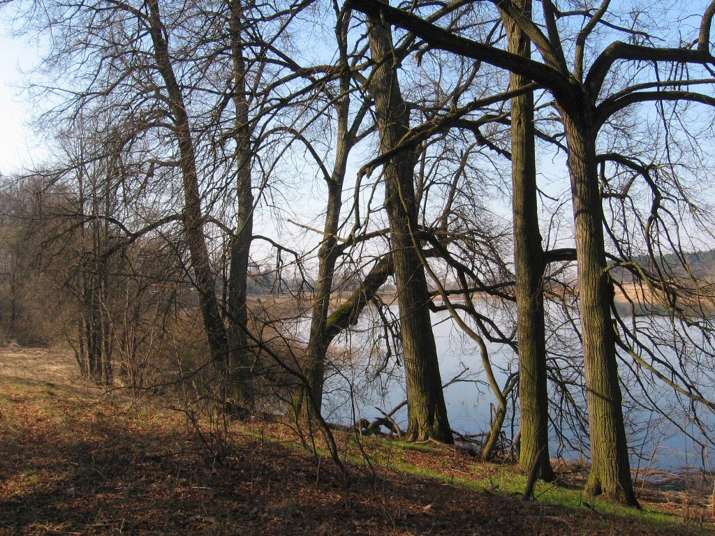 Каспля, image of landscape/habitat.