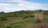 Кулуктау, image of landscape/habitat.