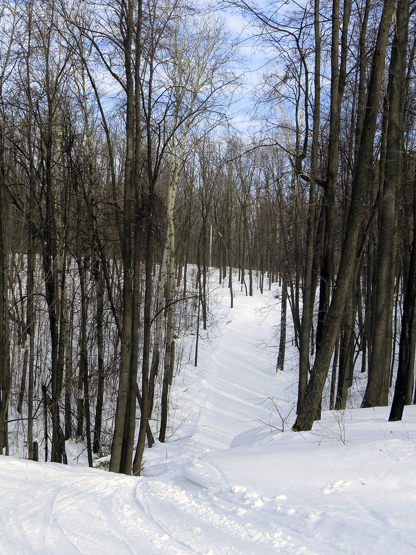 Верхняя Терраса и окрестности, image of landscape/habitat.