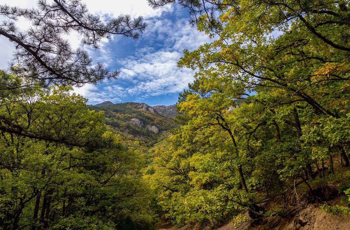 Урочище Парагильмен, image of landscape/habitat.
