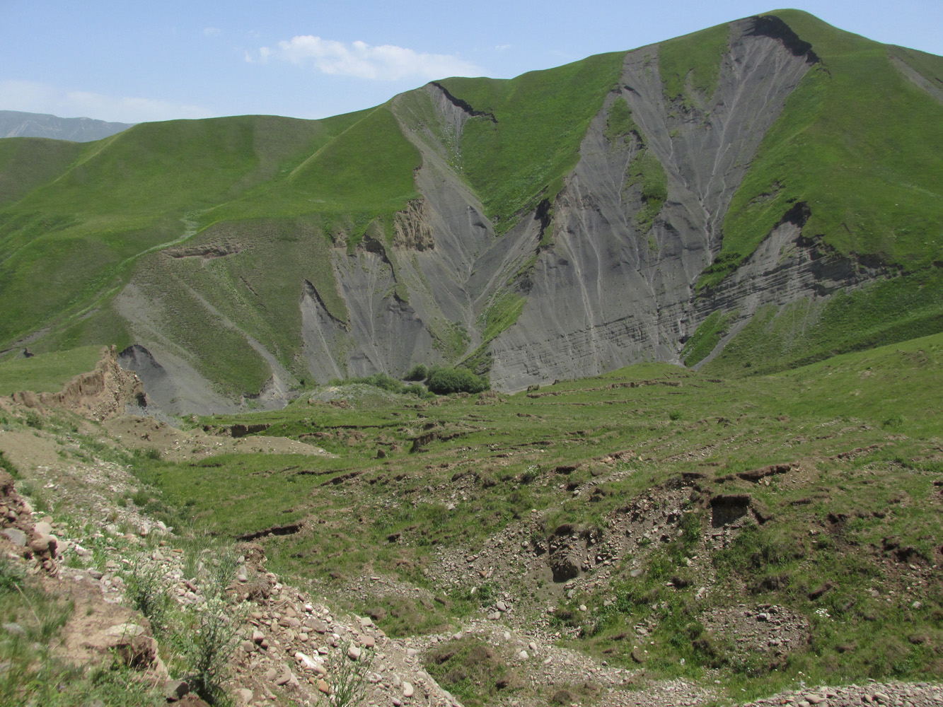 Окрестности села Шара, изображение ландшафта.