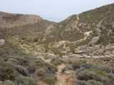 Image of landscape