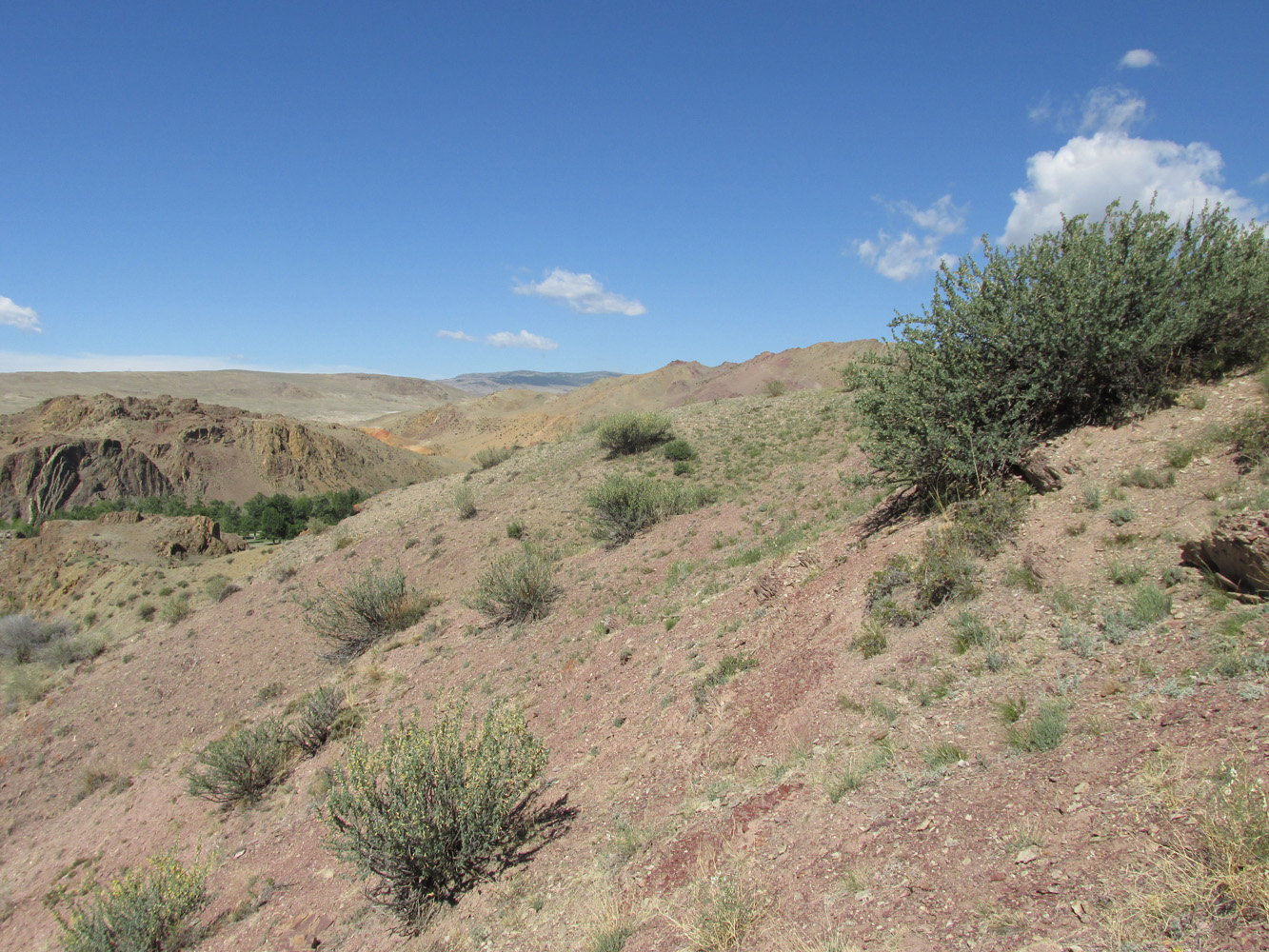 Тыдтуярык (кемпинг и рядом), image of landscape/habitat.