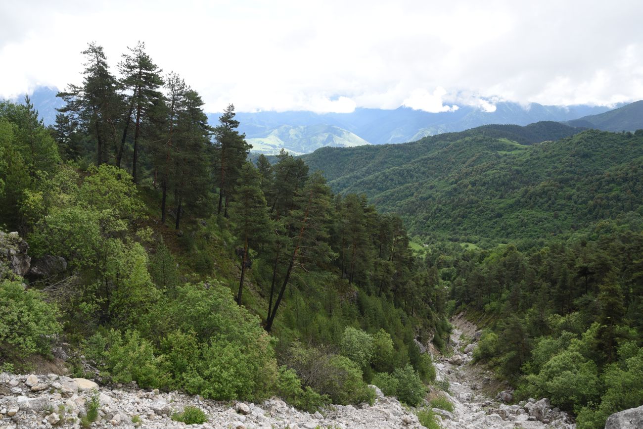 Урочище Камень-На-Камне, image of landscape/habitat.