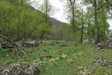 Image of landscape