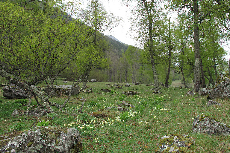 Красный-Карачай, изображение ландшафта.