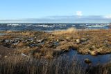 Image of landscape