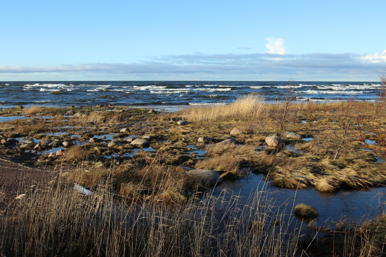 Каравалдай, image of landscape/habitat.