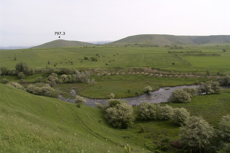 Вершина 797.3, image of landscape/habitat.