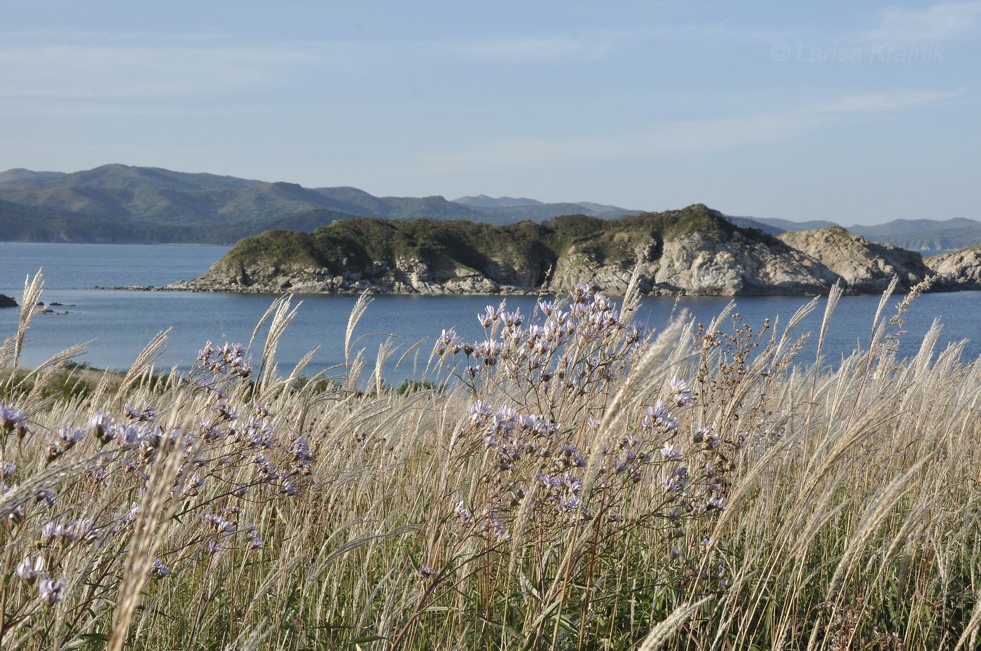 Бухта Тёплая и окрестности, image of landscape/habitat.