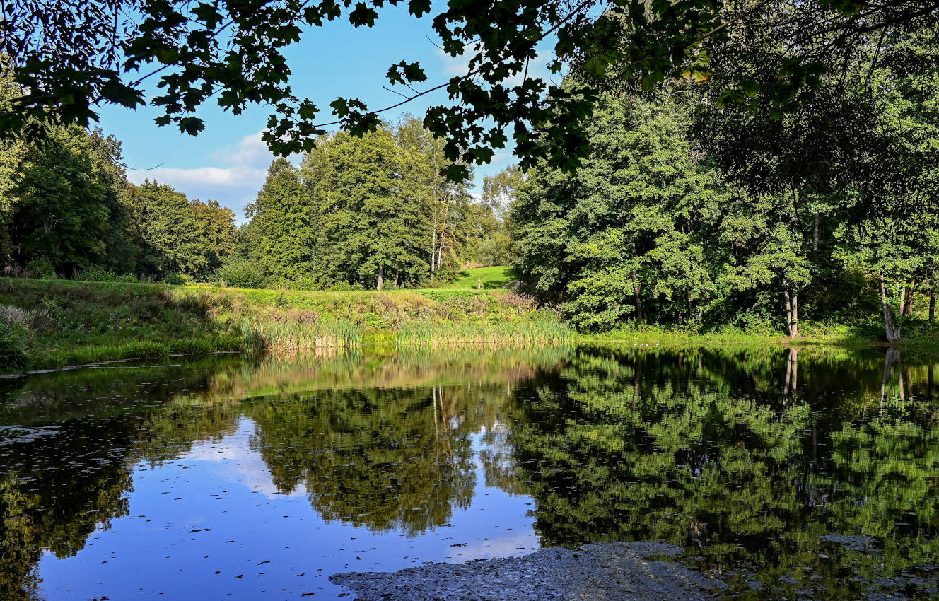 Дворяниново и окрестности, image of landscape/habitat.
