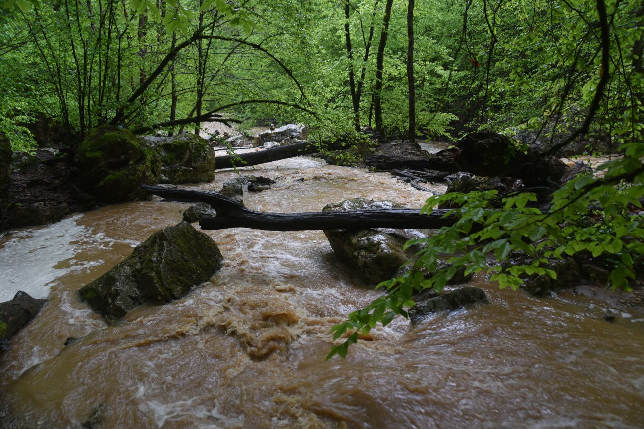 Водопад Шум, image of landscape/habitat.