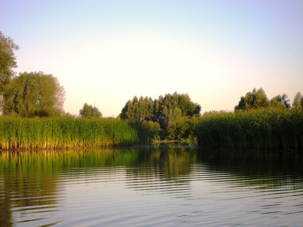 Солдыбаево, image of landscape/habitat.