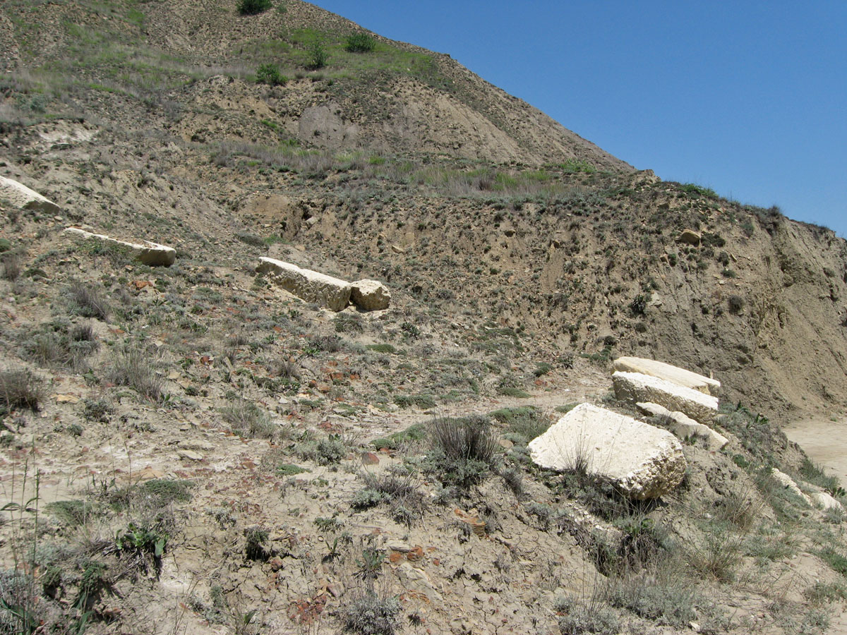 Курортное, image of landscape/habitat.