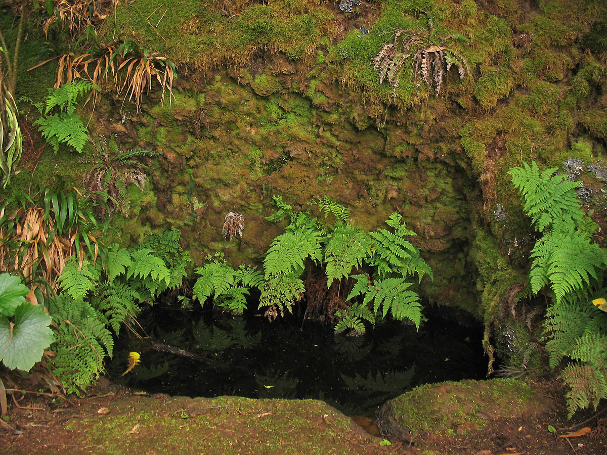 Ландшафтный парк Анага, image of landscape/habitat.