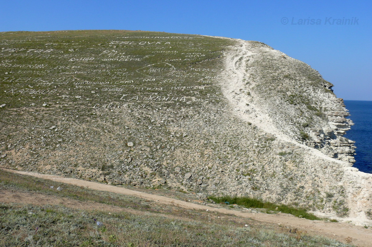 Джангуль, image of landscape/habitat.