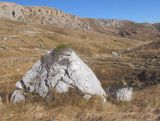 Гузерипльский перевал, image of landscape/habitat.