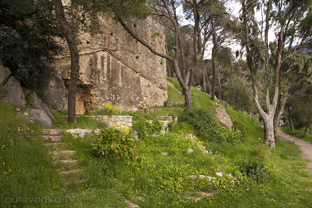 Кипарисия, image of landscape/habitat.