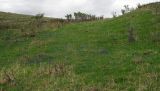 Марусин перевал, image of landscape/habitat.