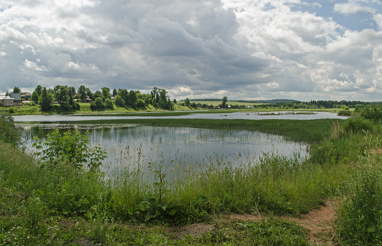 Окрестности села Вознесенское, изображение ландшафта.