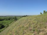 Южный, image of landscape/habitat.