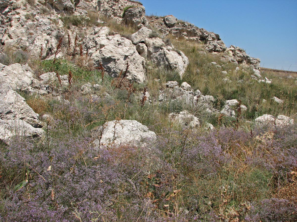 Окр. Яковенково, image of landscape/habitat.