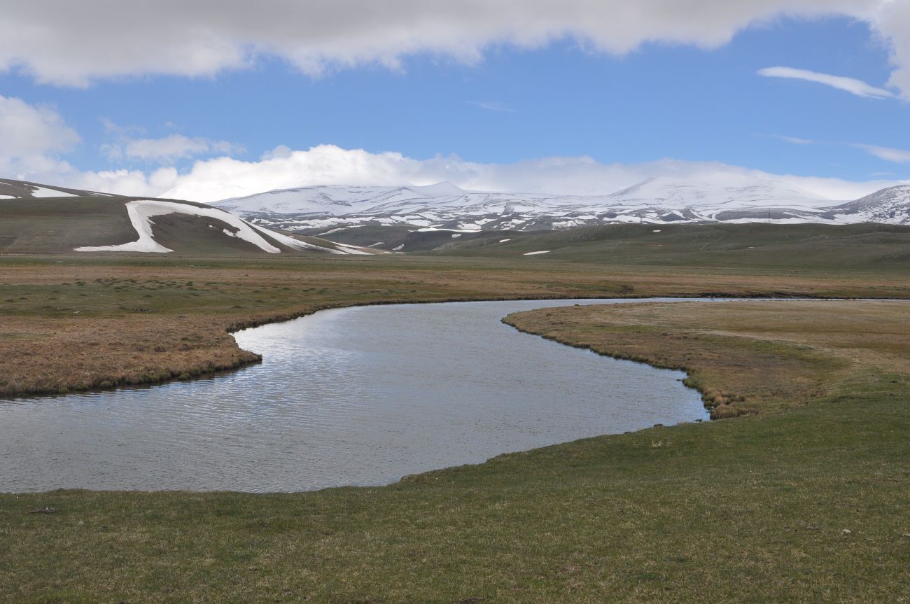 Окрестности долины реки Паравани, image of landscape/habitat.