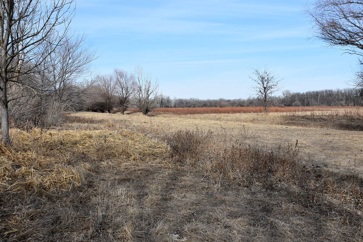 Ерик Первенький, image of landscape/habitat.