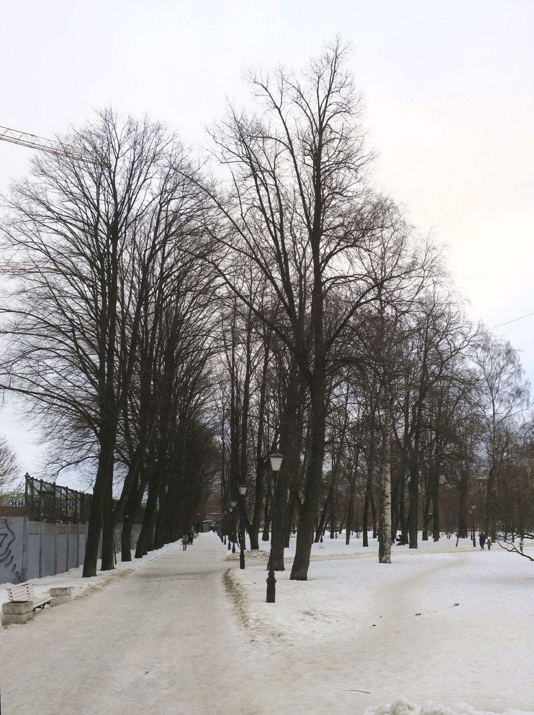 Центральный р-н Санкт-Петербурга, image of landscape/habitat.