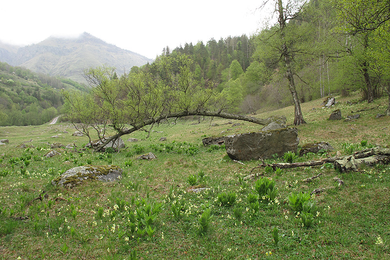 Красный-Карачай, изображение ландшафта.