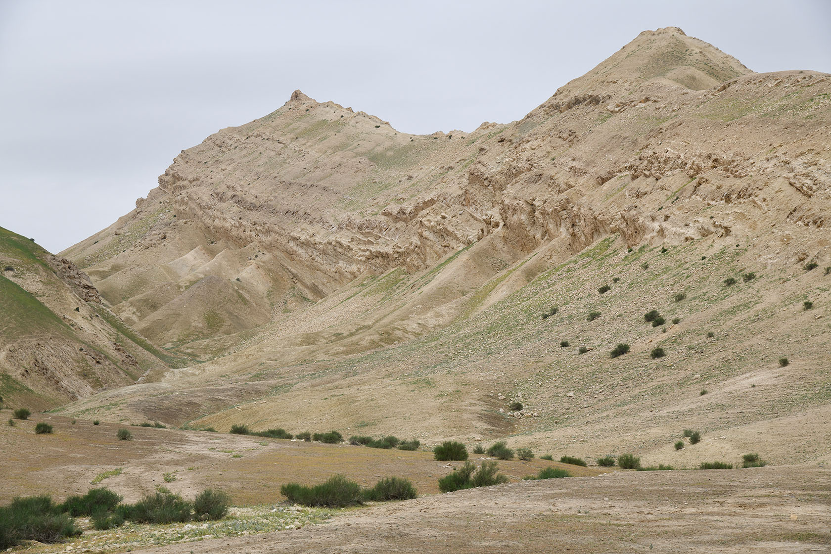 Перевал Дандан-Чикан, image of landscape/habitat.