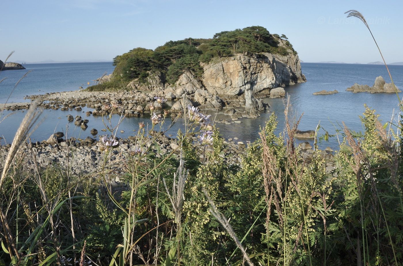 Бухта Тёплая и окрестности, image of landscape/habitat.