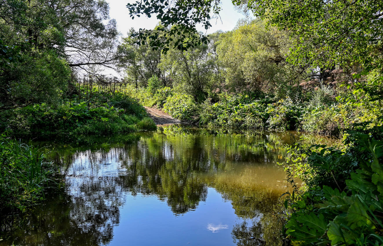 Дворяниново и окрестности, image of landscape/habitat.