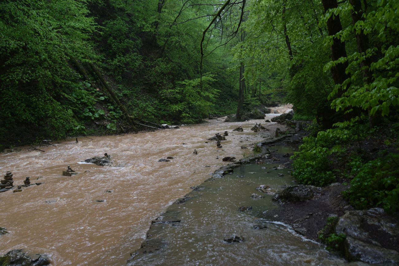 Водопад Шум, image of landscape/habitat.