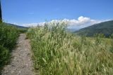 Image of landscape