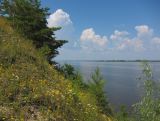 Image of landscape