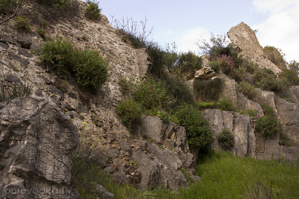 Кипарисия, image of landscape/habitat.