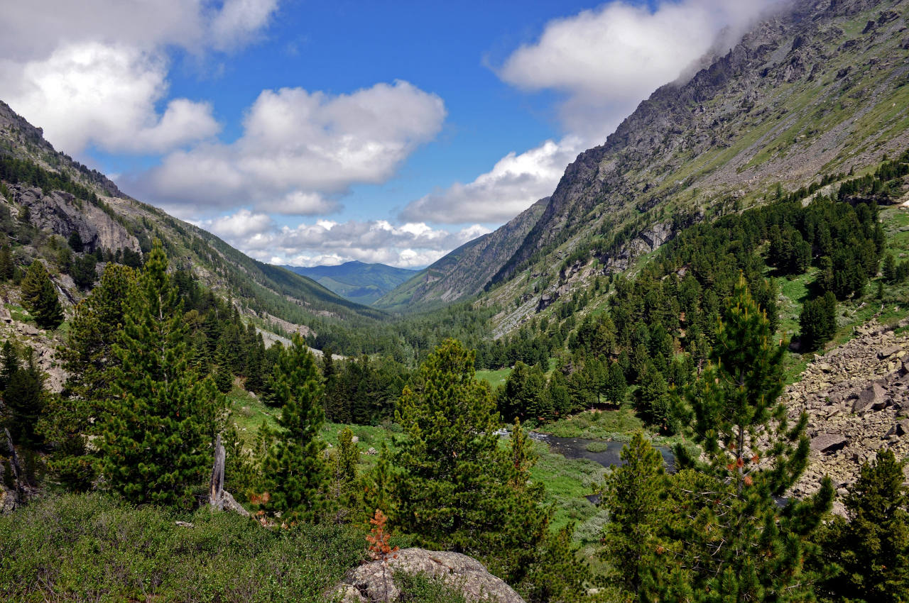 Долина реки Куйгук, image of landscape/habitat.